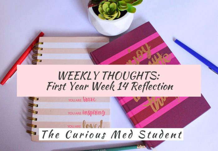Weekly Thoughts: First Year Week 14 Reflection